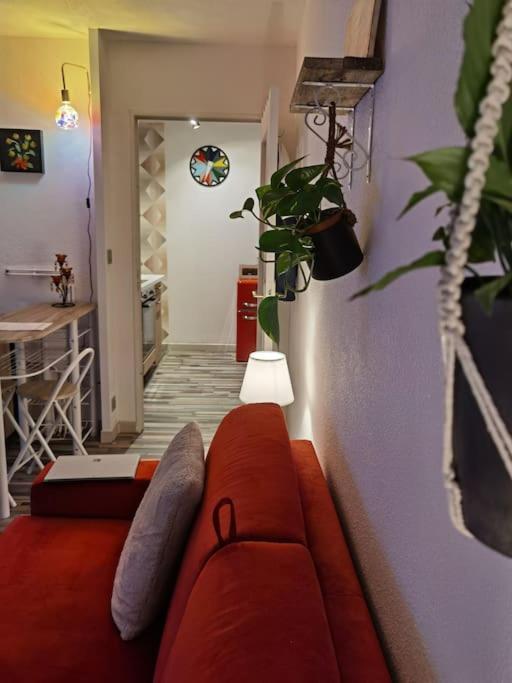 Cosy T1Bis Proche Centreville, Petit Port, Audencia Nantes Exterior foto